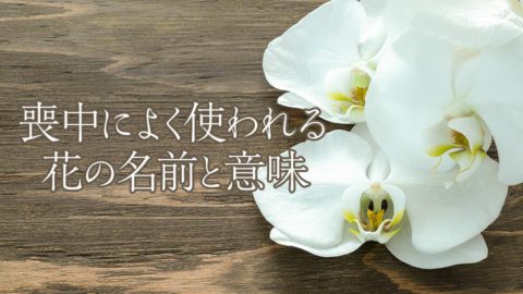 喪中によく使われる花の名前と意味